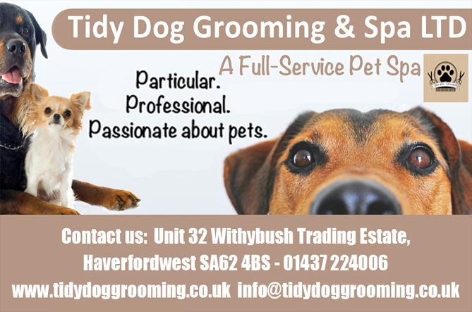 Tidy Dog Grooming