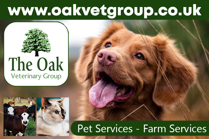 Oak Veterinary Group