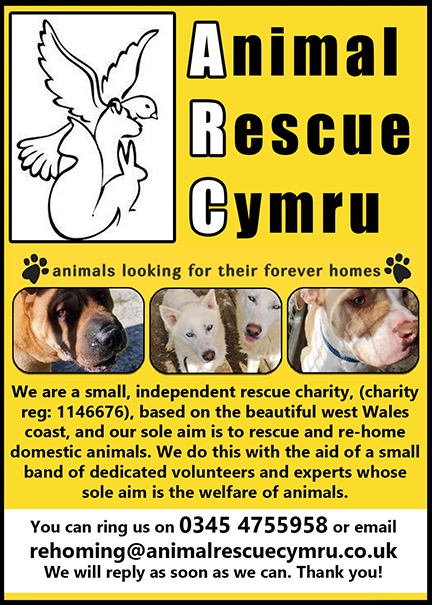 Animal rescue Cymru